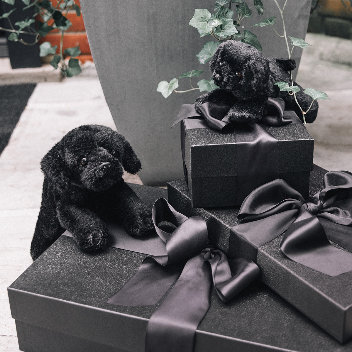 Big Brother “Kody” Plush Black Lab Dog SHOP NK